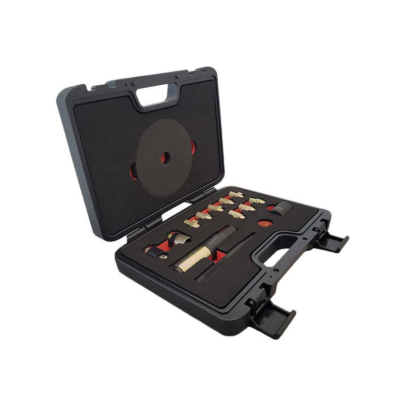 Professional Carriage Bolt Removal Kit